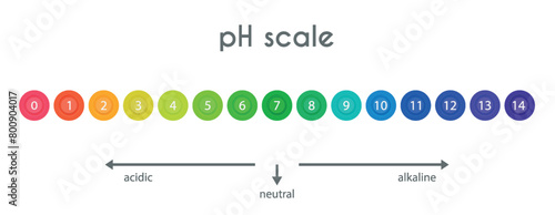 pH value scale chart for acid-alkaline solution. Acid-base balance infographic isolated on white background. Indicator for concentration of hydrogen ion in solution. Vector illustration.