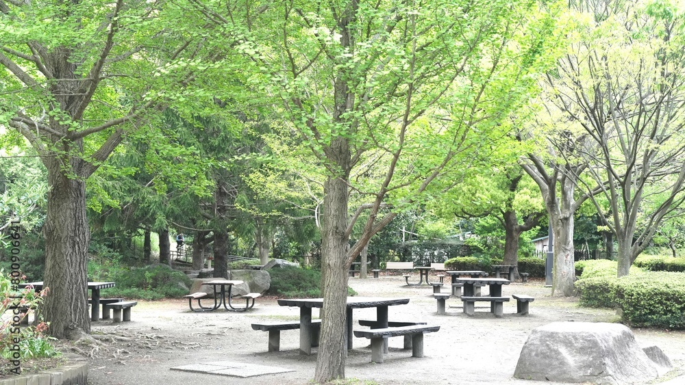 benches in the park