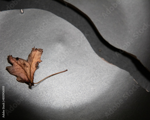 autumn meal, dry leaf on the black broken plate, old silver cutlery