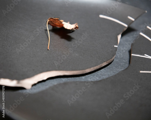 autumn meal, dry leaf on the black broken plate, old silver cutlery