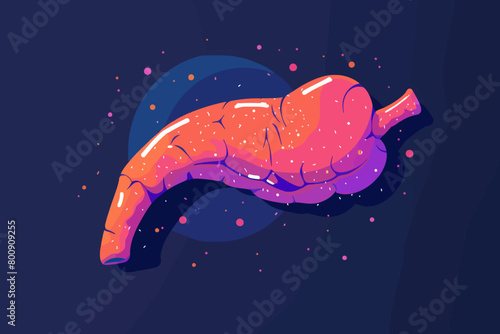a simple flat illustration of an Pancreas, vector graphics