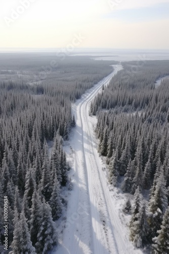 A winter road winds through a snowy forest