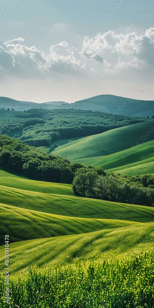Picturesque green hills and valleys in the countryside
