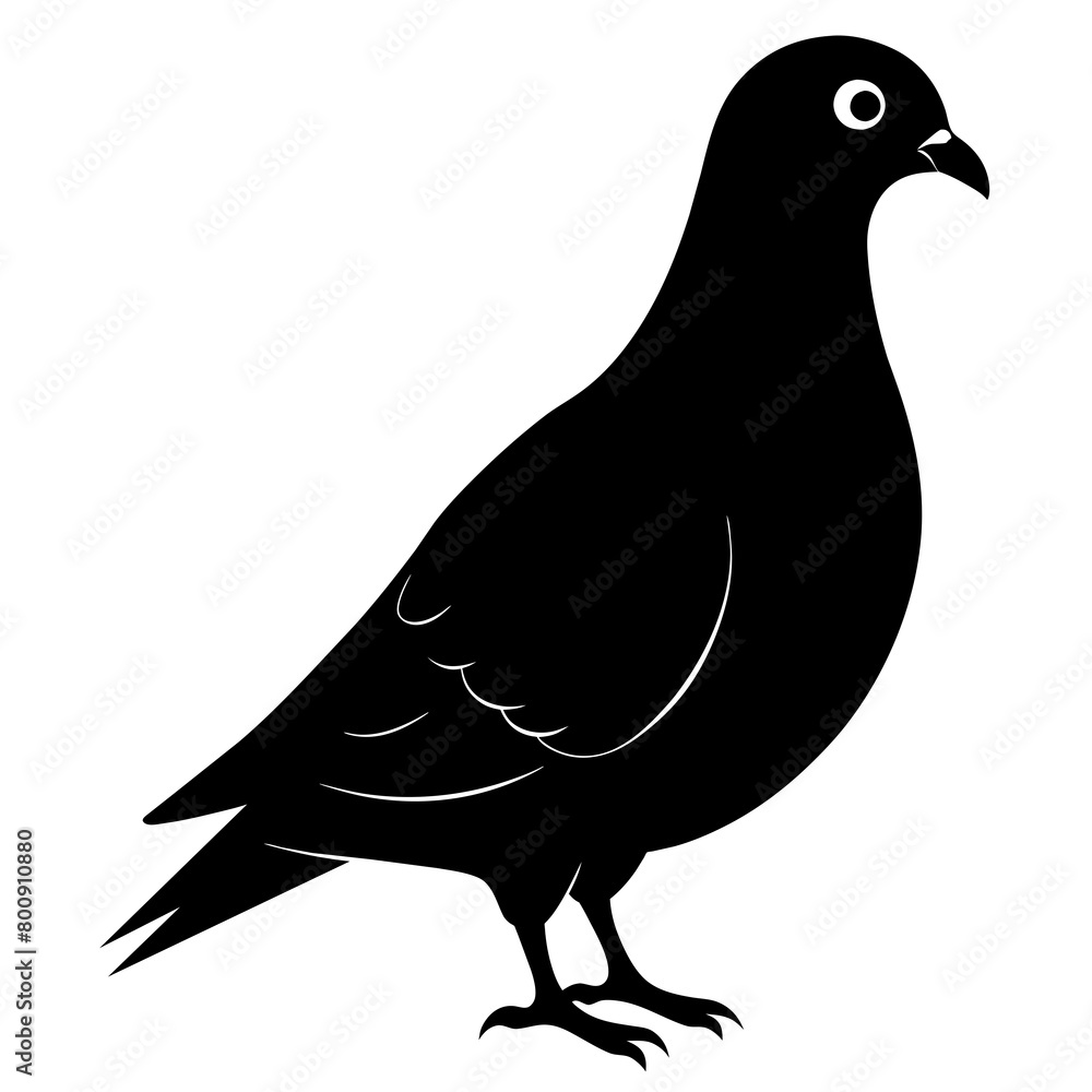 Fototapeta premium Pigeon of peace silhouette vector art illustration with white background 