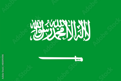 The flag of Saudi Arabia. Flag icon. Standard color. Vector illustration