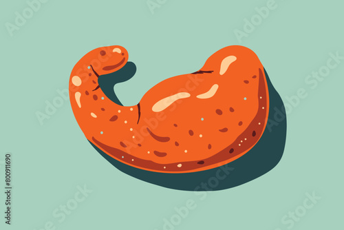 a simple flat illustration of an Spleen, vector graphics