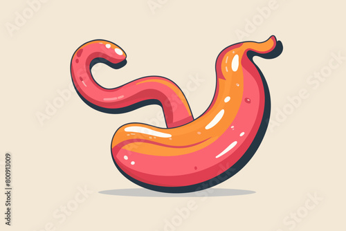 a simple flat illustration of an Stomach, vector graphics