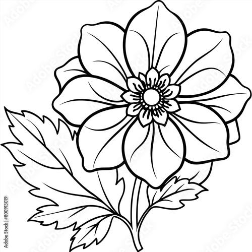 Anemone flower plant outline illustration coloring book page design, Anemone flower plant black and white line art drawing coloring book pages for children and adults