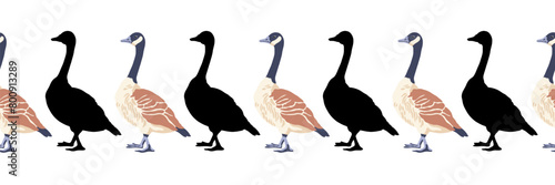 Canada goose. Seamless borders. Pattern of vintage style colored illustration and black silhouettes of birds. Vector illustration of geese on a white background.