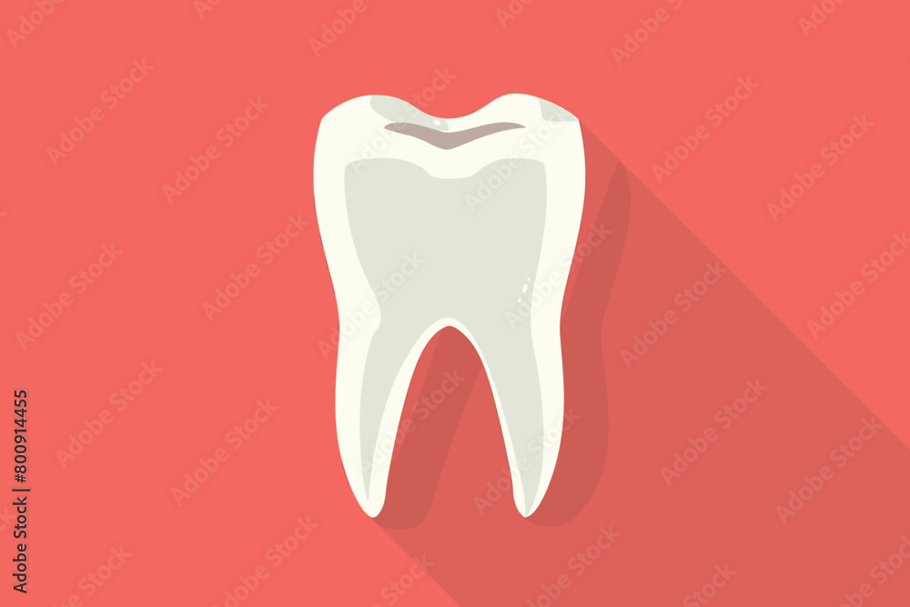 a simple flat illustration of an Teeth, vector graphics a simple flat illustration of an Teeth, vector graphics