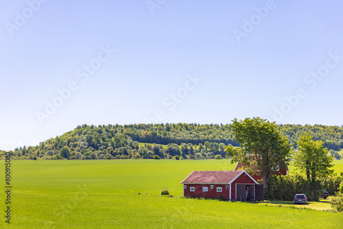 Rural landscape view with a garage by a cottage in the summer