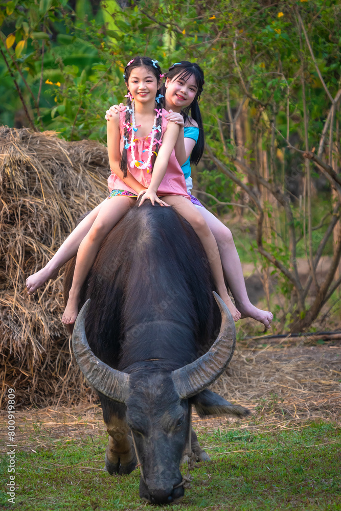 Fototapeta premium Beautiful Asian Thai females wear traditional farmer outfits and ride buffalo are happy to practice farming learn about the life of farmers.