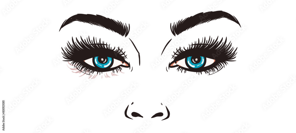 blue female eyes vector illustration