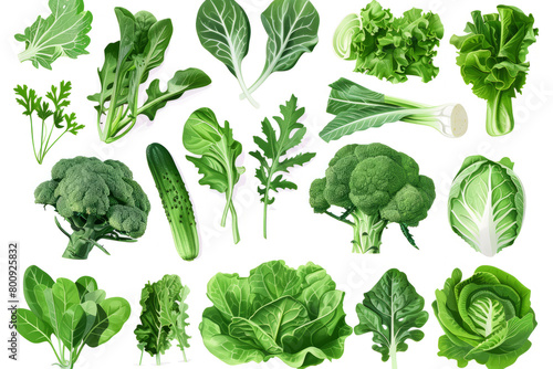 green goodness of plant-based food with an assortment of leafy greens and garden-fresh produce.