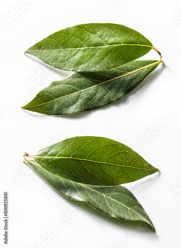 bay leaves isolated white background 