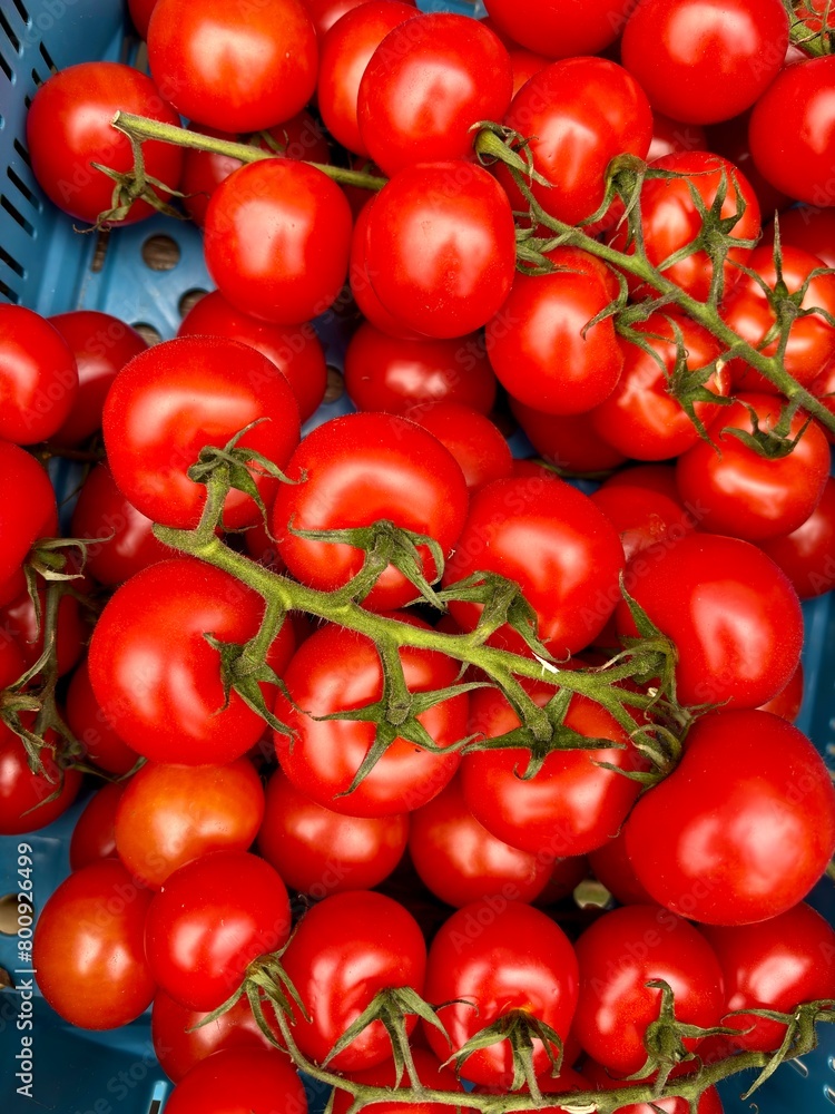 Tomaten im Korb auf Markt Tomaten im Korb auf Markt