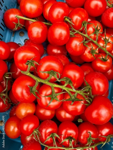 Tomaten im Korb auf Markt