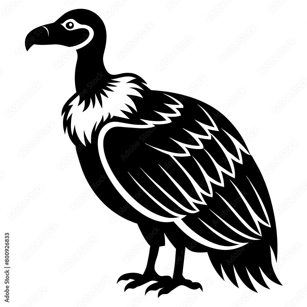 Vulture silhouette vector illustration isolated on a white background. Vulture silhouette vector illustration isolated on a white background.