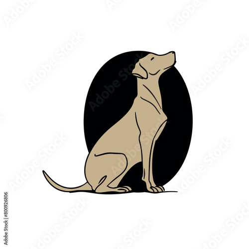 Vector illustration of a hound dog