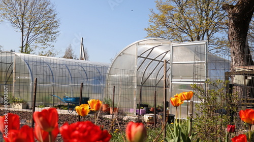 Spring background. Gardening concept. Greenhouse in back garden with open door