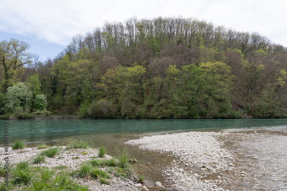 L'Allondon rivière sauvage et naturel àl'embouchure du Rhône L'Allondon rivière sauvage et naturel àl'embouchure du Rhône