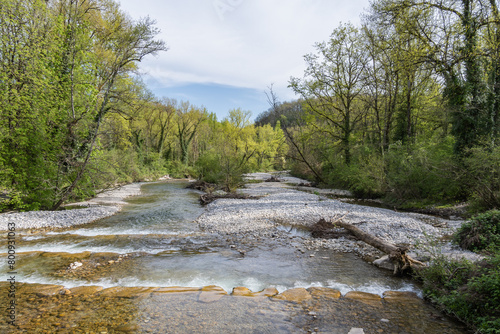 L'Allondon rivière sauvage et naturel juste avant l'embouchure du Rhône