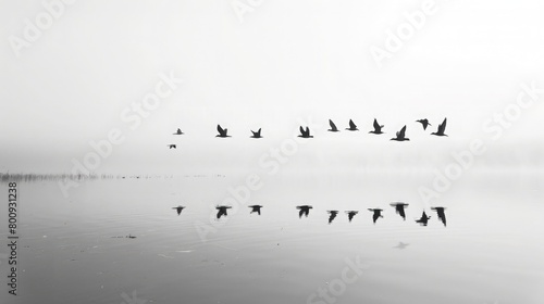 A flock of birds soaring high above a tranquil lake, their silhouettes reflected in the calm waters below.