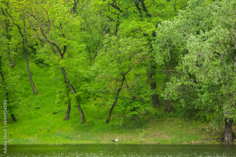 Landscape with beautiful nature in the village in the Republic of Moldova. Country life in Eastern Europe. Landscape with beautiful nature in the village in the Republic of Moldova. Country life in Eastern Europe.