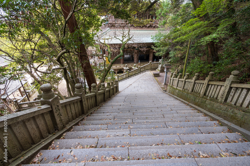 Kotohira, Kagawa, Japan - April 7 2024 : Konpira Shrine ( aka Konpira-san or Kotohira-Gu ) stone steps. Cherry blossoms in full bloom in the spring.