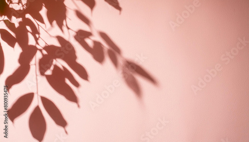 Leaf shadow and tree branch on wall. Nature leaves pastel beige, pink shadow and light from sunlight on wall texture background wallpaper. Shadow overlay effect foliage mockup, banner graphic layout