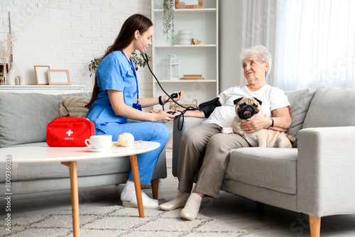 Senior woman with pug dog a...