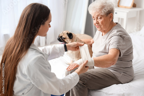 Slika na platnu Female doctor bandaging wrist of senior woman with pug dog in bedroom
