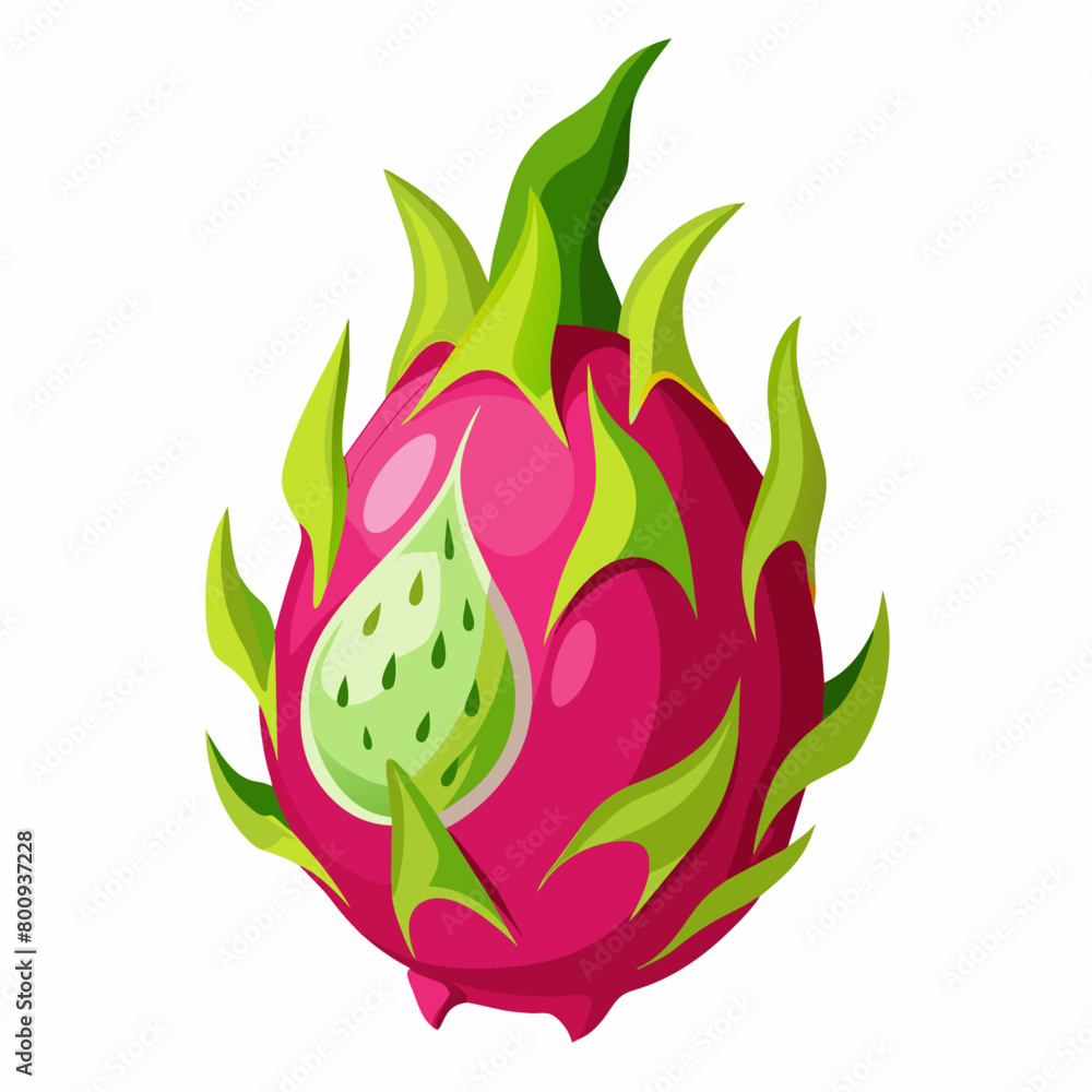 Dragon Fruit vector art illustration (7) Dragon Fruit vector art illustration (7)