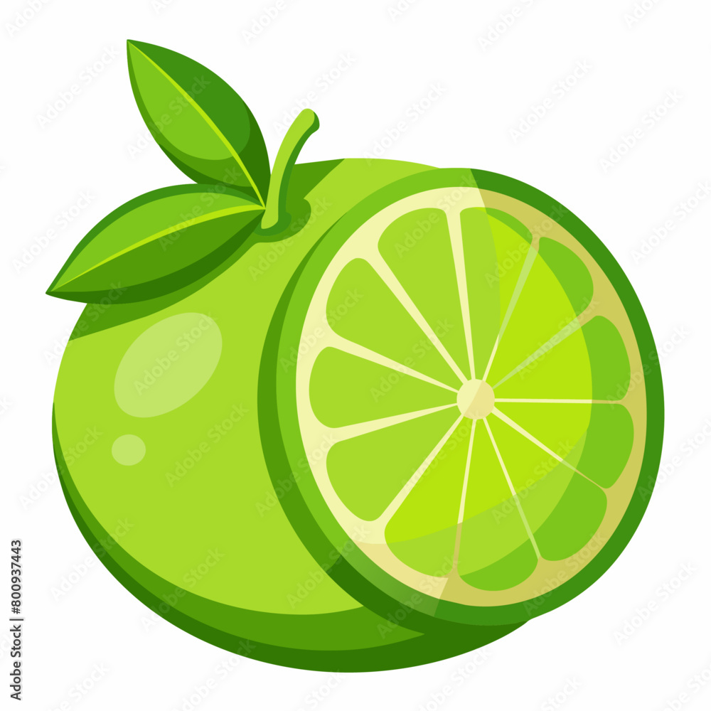 Lime vector art illustration (20) Lime vector art illustration (20)