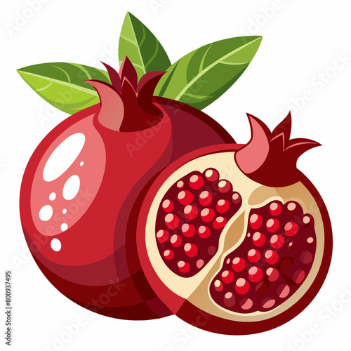 one-and-half-pomegranate-fruit-vector-art-illustra (8)