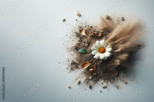 A flower that turns to dust. Space for text. photo