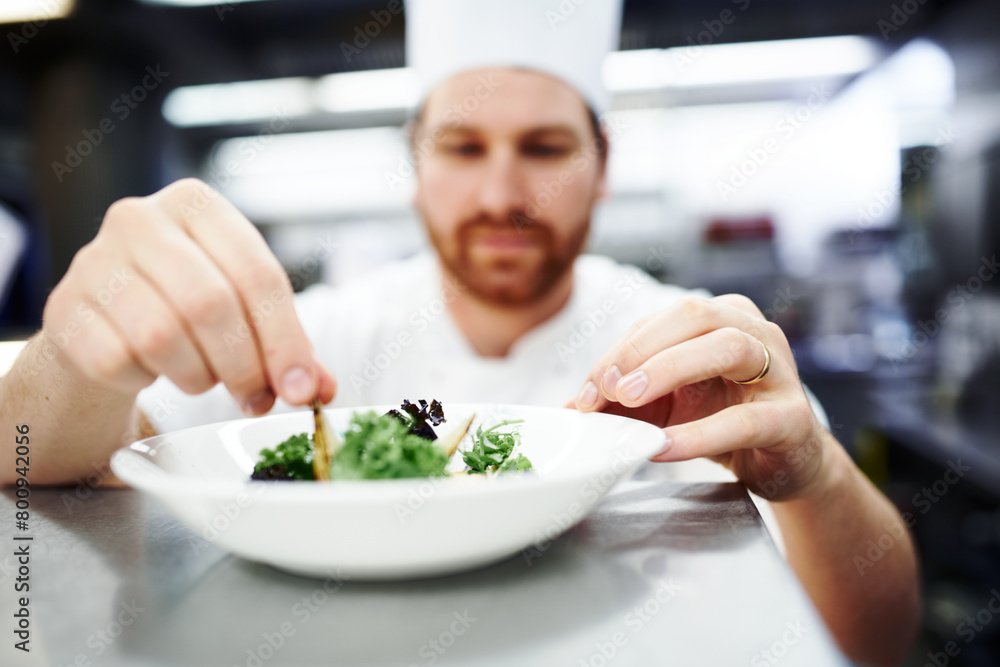 Dish, chef or man in kitchen in restaurant for lunch, fine dining or dinner presentation. Business, cafe or male expert for catering, serving or ingredients for culinary cuisine, green salad or food Dish, chef or man in kitchen in restaurant for lunch, fine dining or dinner presentation. Business, cafe or male expert for catering, serving or ingredients for culinary cuisine, green salad or food