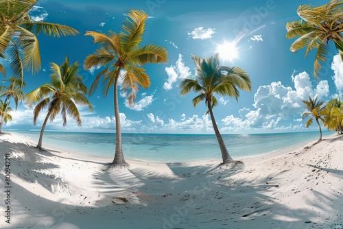 A beautiful beach with palm trees  white sand  and blue water.