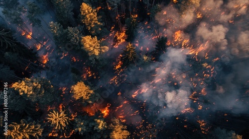 Top view of a forest fire. Drone photo. Nature protection concept. © Дмитрий Баронин