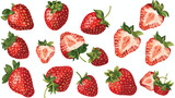 Sweet ripe strawberries on white background Vector style