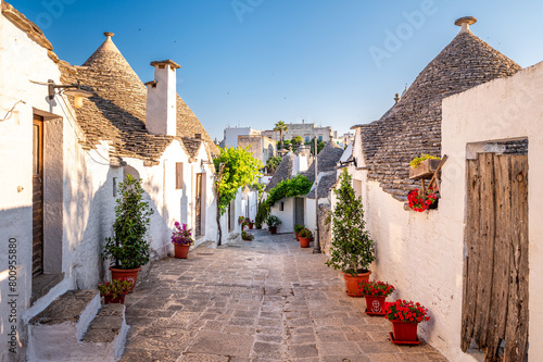 view of Alberobello, Puglia, Italy