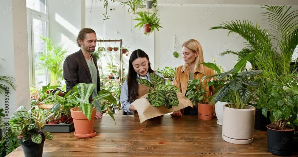 Young Asian saleswoman is serves the customers, packs the plant. In a bright indoor garden, a young Asian woman, gardening enthusiast, packs a new plant surrounded by lush greenery Young Asian saleswoman is serves the customers, packs the plant. In a bright indoor garden, a young Asian woman, gardening enthusiast, packs a new plant surrounded by lush greenery
