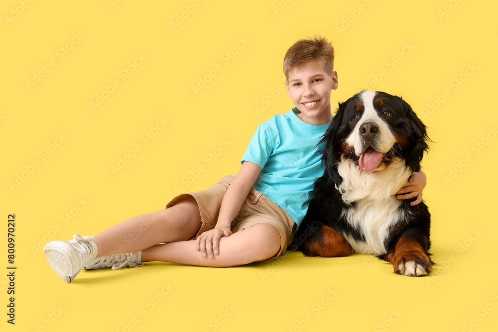 Cute fluffy dog and boy on yellow background Cute fluffy dog and boy on yellow background