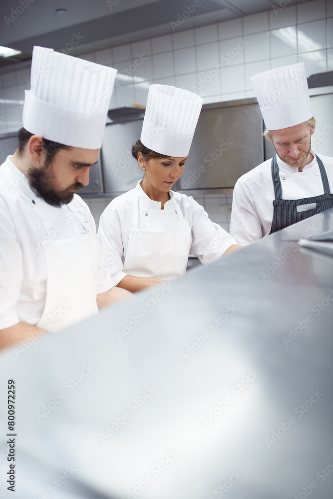Chef, staff and working in professional kitchen, restaurant and gourmet meal prep and cooking together. Catering service, employee and culinary skills collaboration, hospitality industry and people