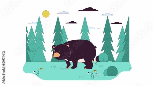 Bear running across forest line 2D character animation. Wild fauna reserved area flat color cartoon 4K video, alpha channel. Preying predator in nature animated animal on white background