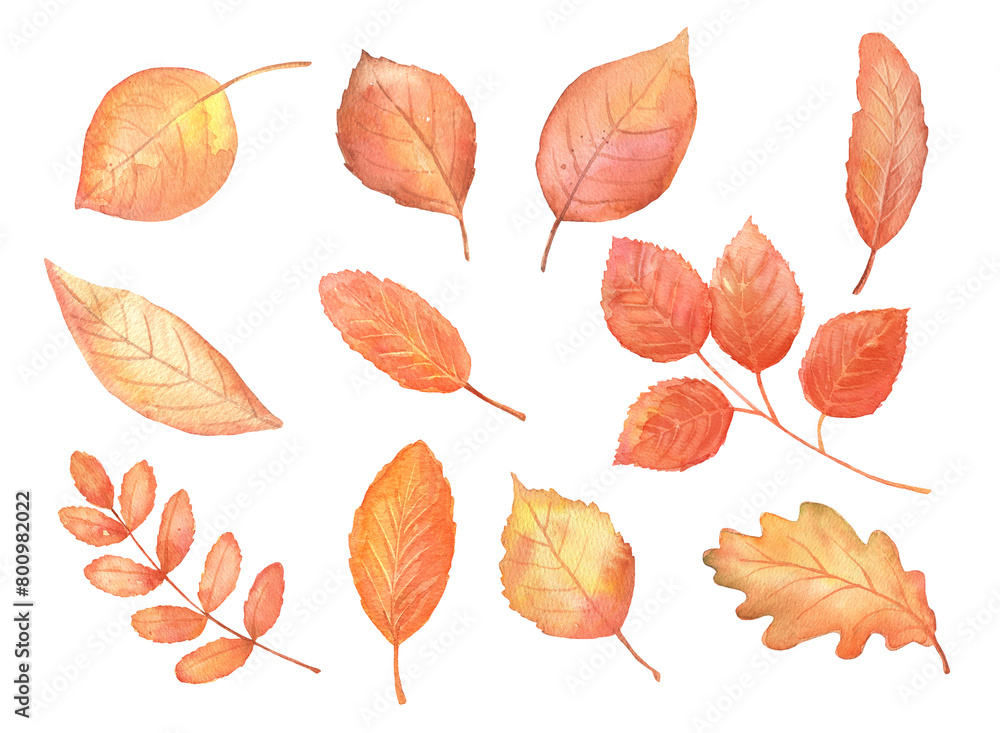 Obraz premium Autumn red leaves set. Hand drawn watercolor fall isolated illustrations.