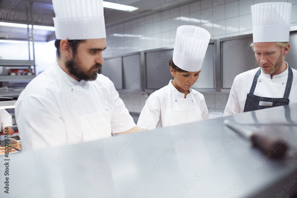 Chef, staff and industrial or professional kitchen, restaurant and gourmet meal prep and cooking. Catering service, employee and culinary skills, together and working in hospitality industry