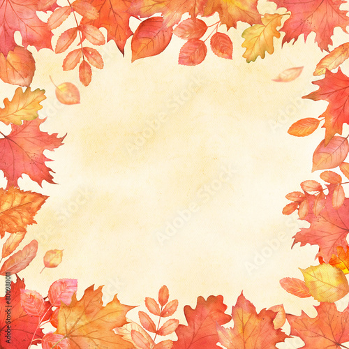 Square fall frame with red leaves. Autumn falling maple leaves with copy space.