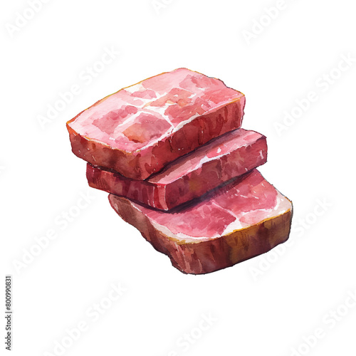 corned beef vector illustration in watercolor style 