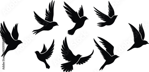 Flying birds silhouette set, vector illustration.